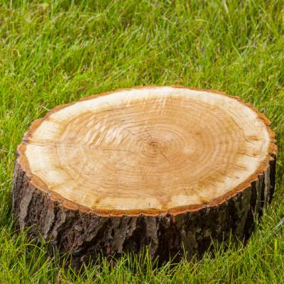 STUMP GRINDING