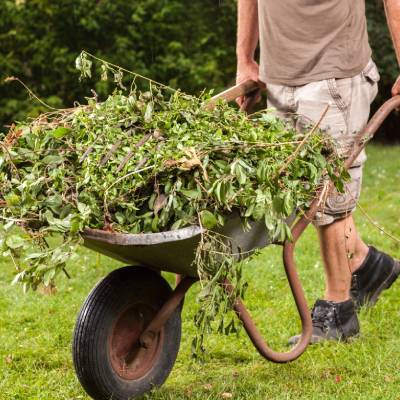 YARD CLEANUP